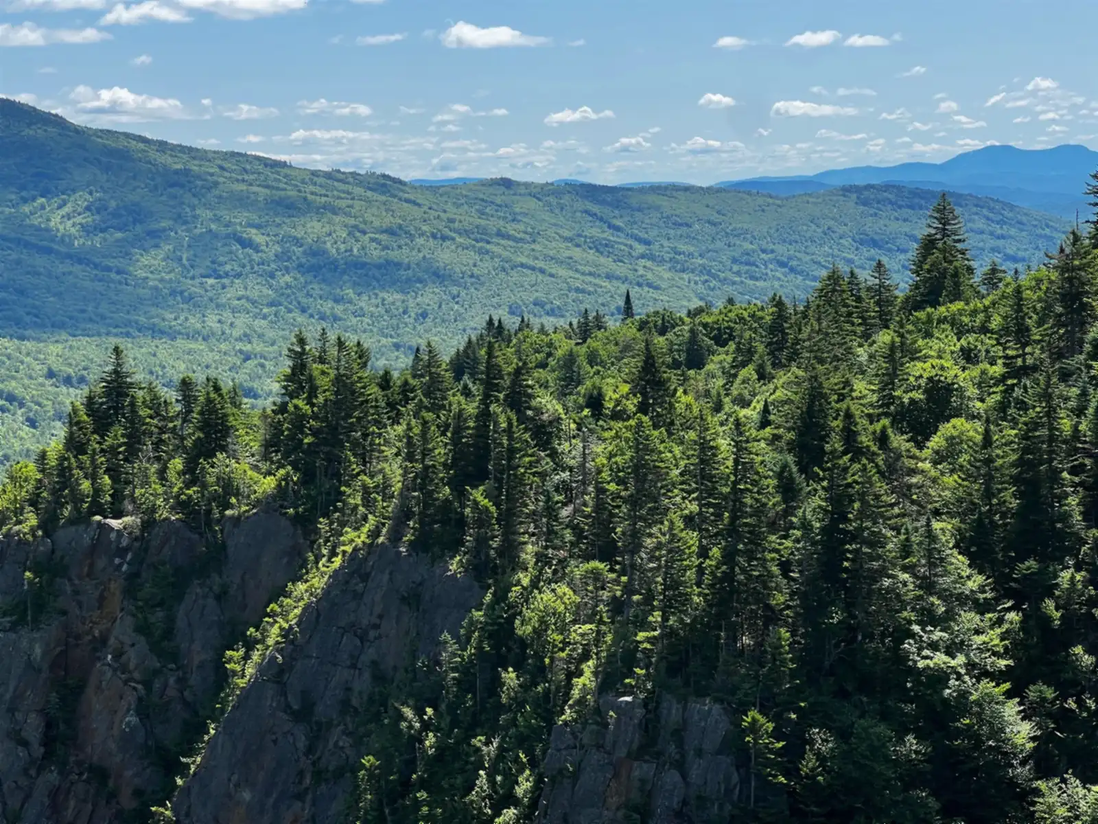 Forested mountain overlook in northern New Hampshire